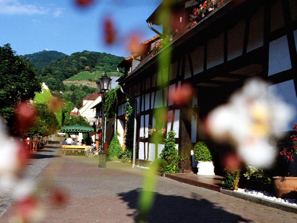 Hotel Garni Zur Bergstrasse Zwingenberg  Εξωτερικό φωτογραφία